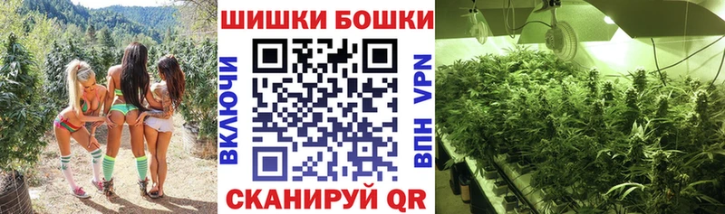Купить закладки  Семёнов  Канабис гибрид 